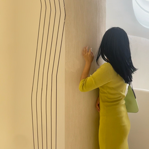 这只伶俐的棕色狐狸跳过一只懒惰的狗