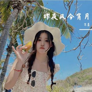 昨夜风今宵月