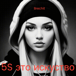 5S это искуство