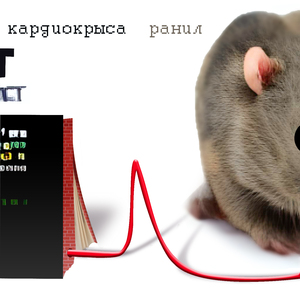 Кардиокрыса