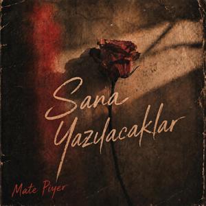 Sana Yazılacaklar