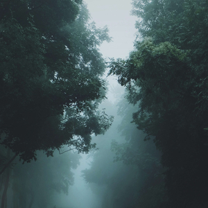 the girl to whom I could not say anything that I wanted