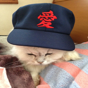 いま、ひとつになるとき