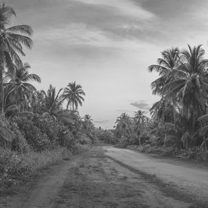 有趣周日的早午餐情怀