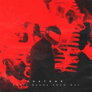 Don't Wanna Know Why