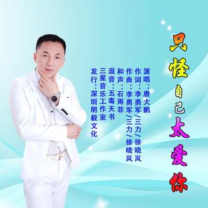 只怪自己太爱你