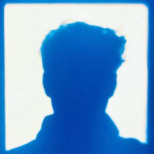 i should have seen the northern lights