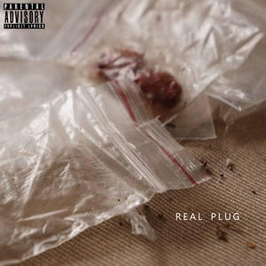 Real Plug