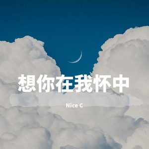 想你在我怀中（prod.by FRESH_ye ）