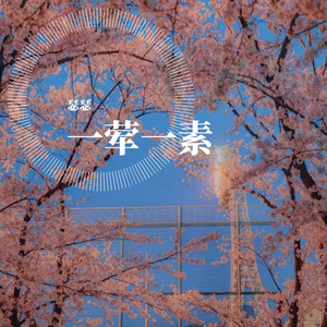 一荤一素（女生版）