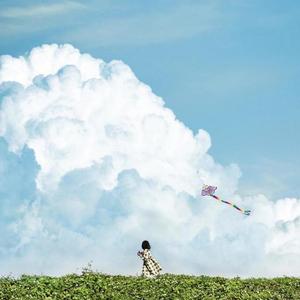 我不再打扰你了