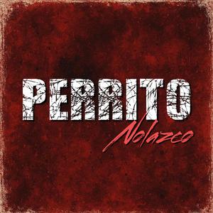 Perrito