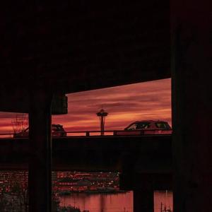 这捧花送给垃圾桶(prod.mega)