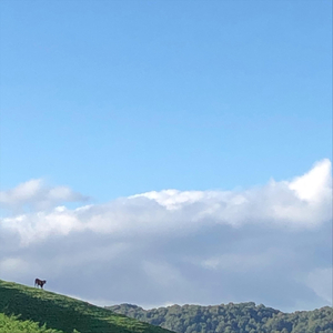 Less Than Friendly Skies