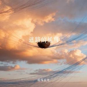 迷路的候鸟