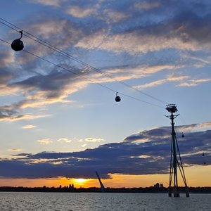 小茉莉