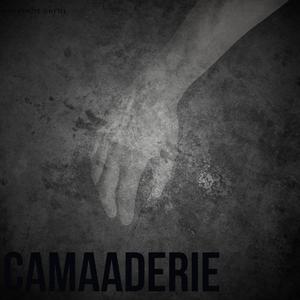 Camaraderie