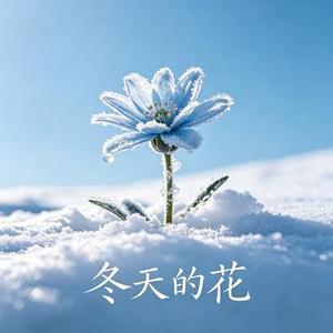 冬天的花