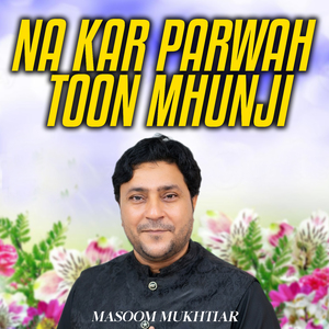 Na Kar Parwah Toon Mhunji