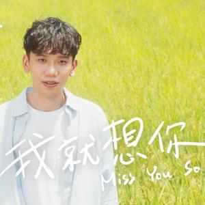 我就想你 Miss You So... (Piano Cover)