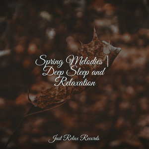 Secrets in Amber Skies