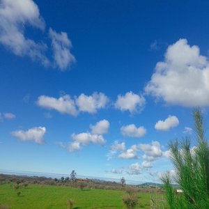 A la Orilla del Amor