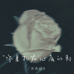 你是扎在心底的刺