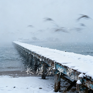 长堤雪年年