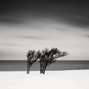 骄傲的鸟儿飞走了 (Slap House)