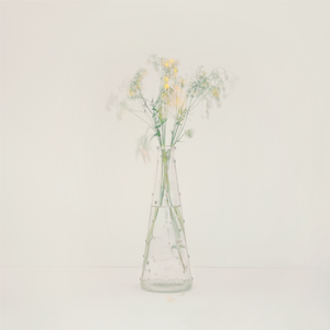 可以栽种的天使