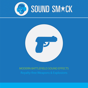 Rifle Loading a Bullet Quickly