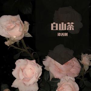 白山茶（翻自 陈雪凝）