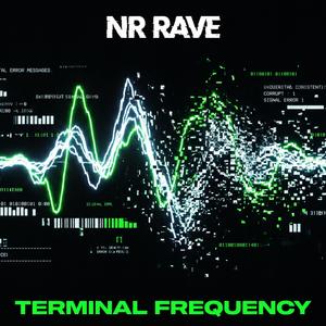 TERMINAL FREQUENCY