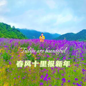 春风十里报新年