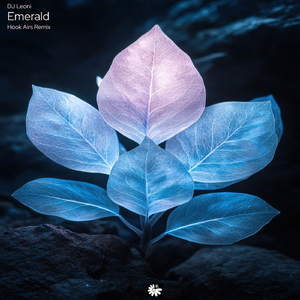 Emerald (Hook Airs Remix)