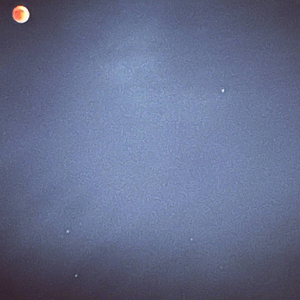 I Can Purr Like A Cheetah