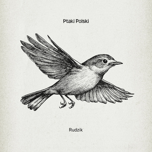 Rudzik
