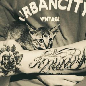 夏雨菲-体面remix（唐怀安 remix）