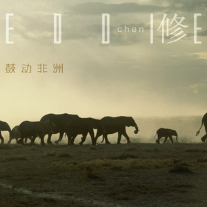 Forest Vierge 绿色的森林