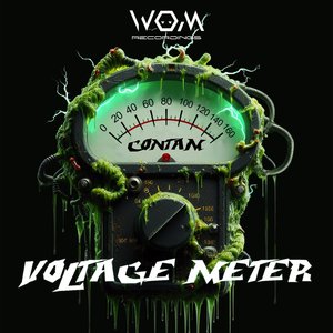 Voltage Meter