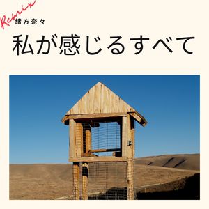私が感じるすべて (Seto Yoshi Remix)
