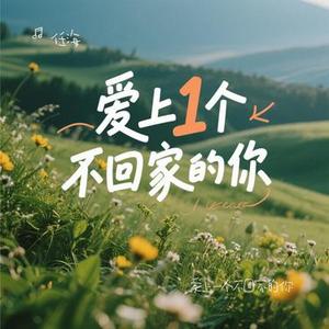 爱上一个不回家的你