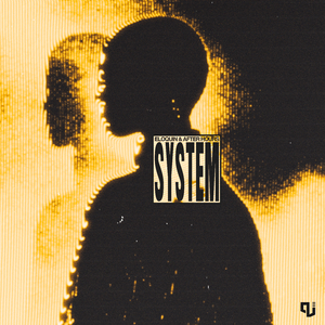 System