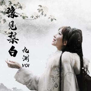 豫见梨白——宿豫第十届梨花文化节主题曲