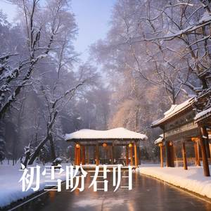 初雪盼君归