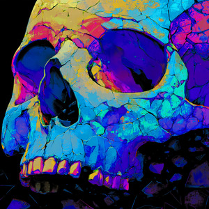 Out of My Mind 2