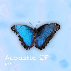 It Ain't Me (Acoustic)