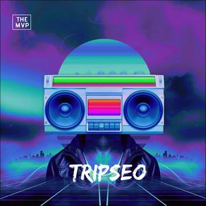 Tripseo