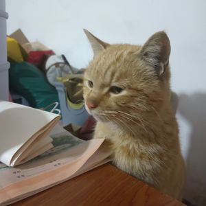 Ur Guys I Pord.IzzyJilledIt