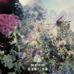 Mystical Sage Warrior